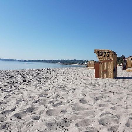 Zwergtaucher Eckernförde Extérieur photo